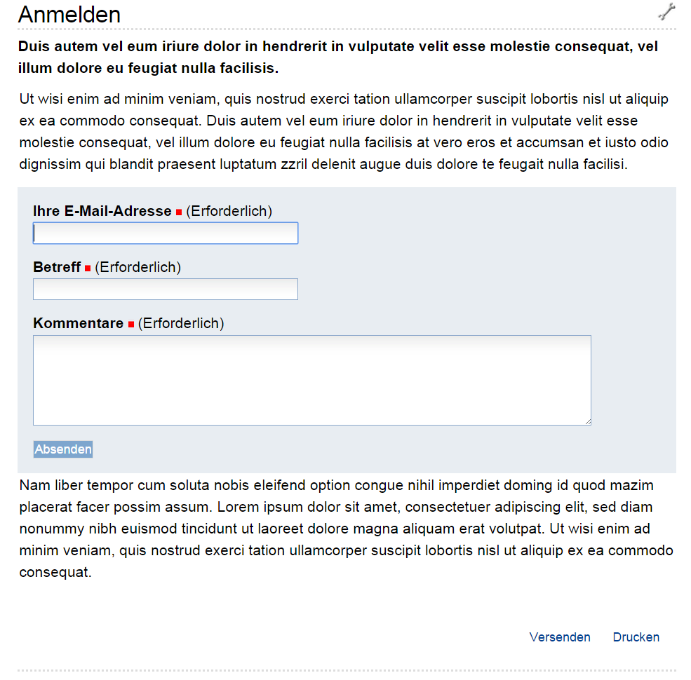 Ansicht des Formulars