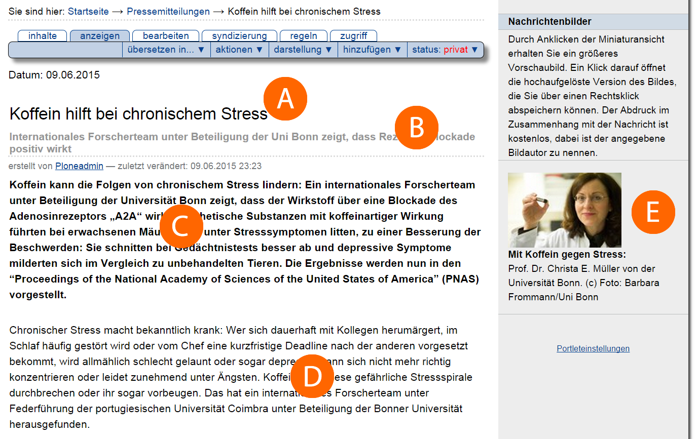 Anzeigen mit Bild